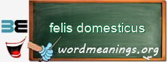 WordMeaning blackboard for felis domesticus